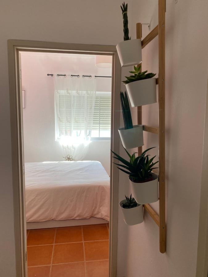 Apartamento Vicentino Вила-Нова-де-Мильфонт Экстерьер фото